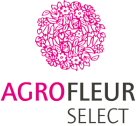 Agrofleur Select - Snijbloemen en bloembollen - Nerine, Agapanthus en Asclepias